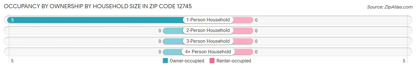 Occupancy by Ownership by Household Size in Zip Code 12745
