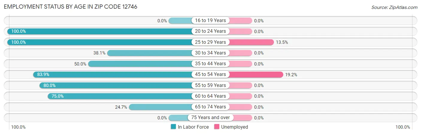 Employment Status by Age in Zip Code 12746