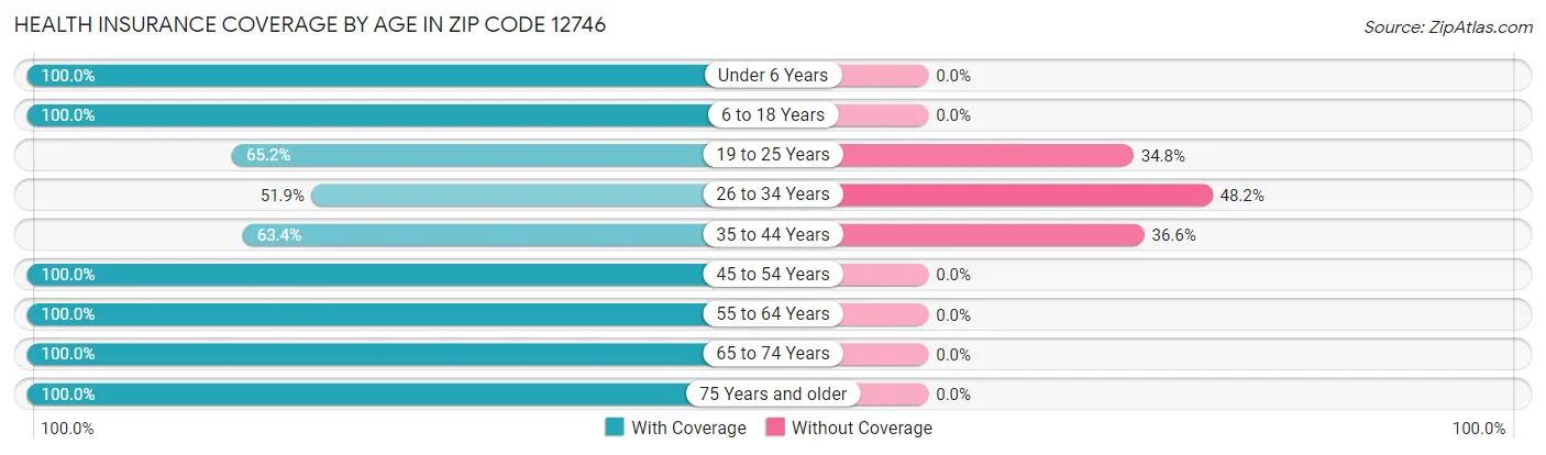 Health Insurance Coverage by Age in Zip Code 12746