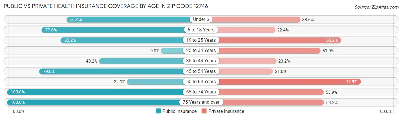 Public vs Private Health Insurance Coverage by Age in Zip Code 12746
