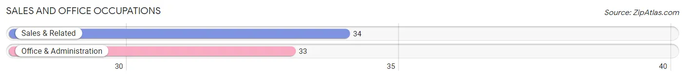 Sales and Office Occupations in Zip Code 12749