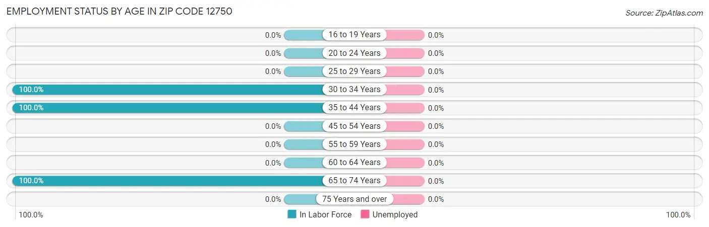 Employment Status by Age in Zip Code 12750