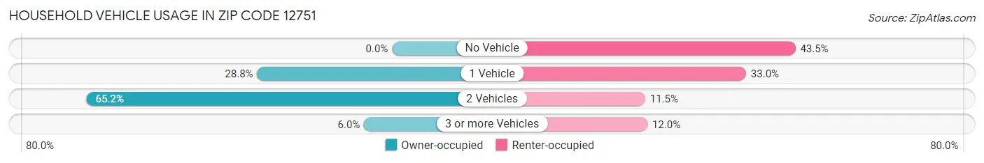 Household Vehicle Usage in Zip Code 12751