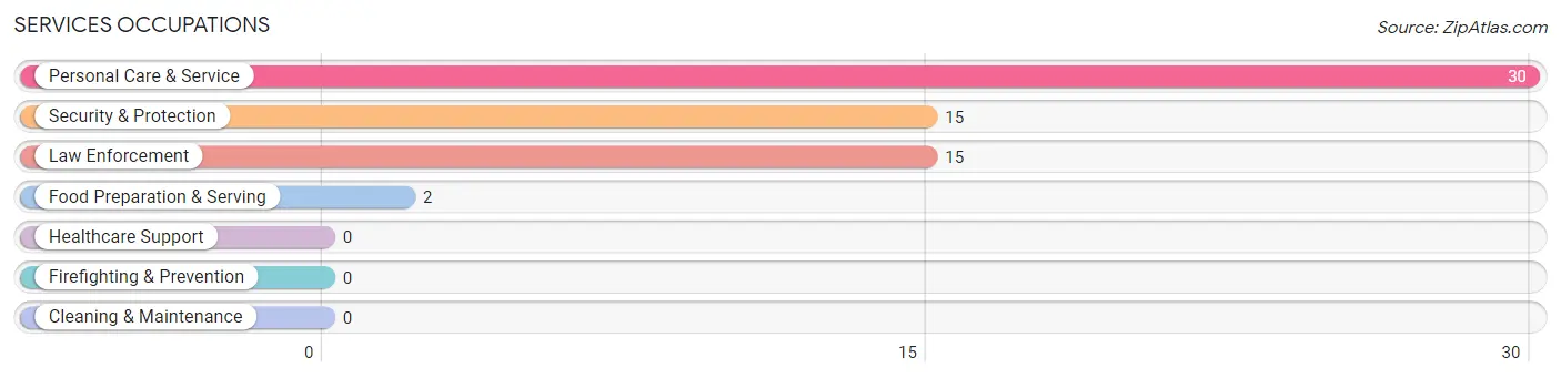 Services Occupations in Zip Code 12751