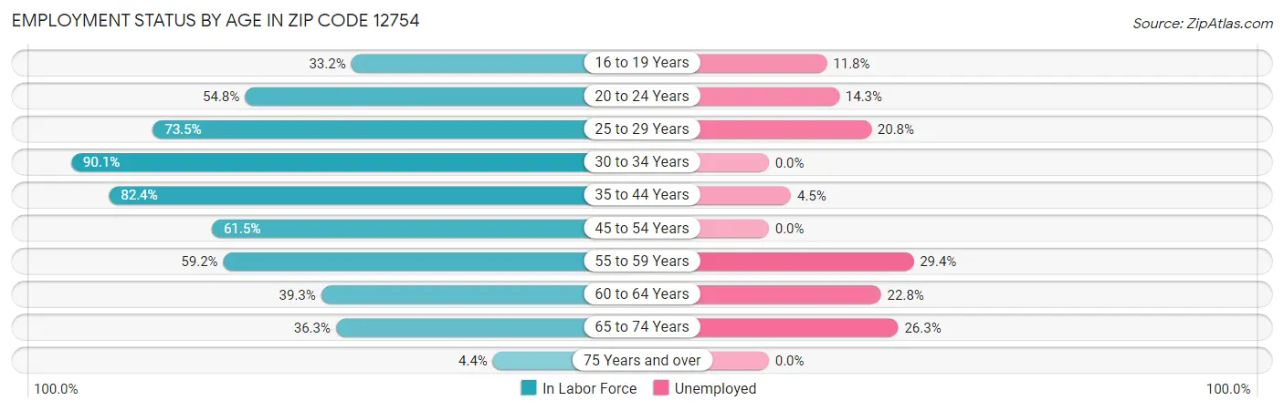Employment Status by Age in Zip Code 12754