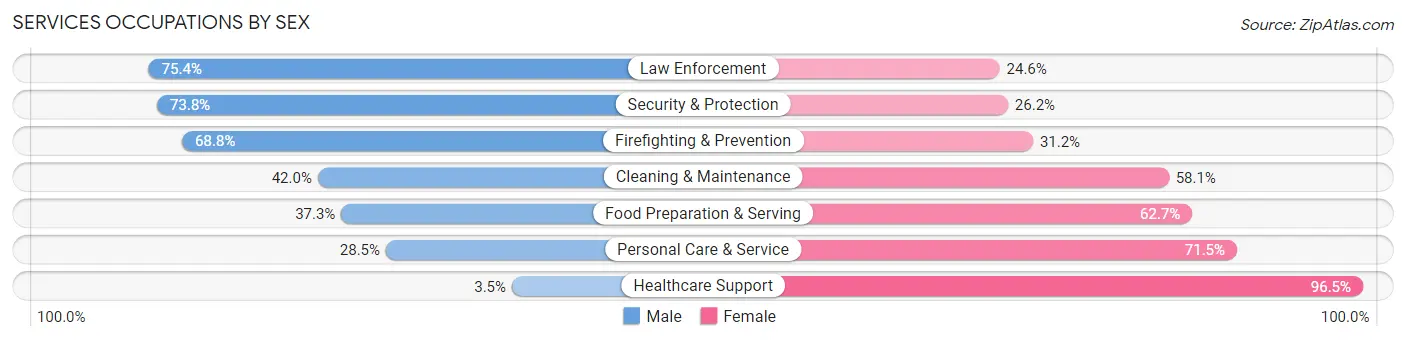 Services Occupations by Sex in Zip Code 12771