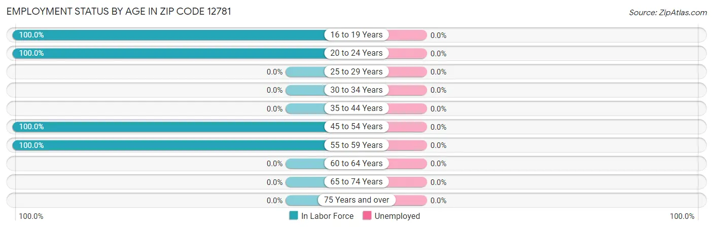 Employment Status by Age in Zip Code 12781