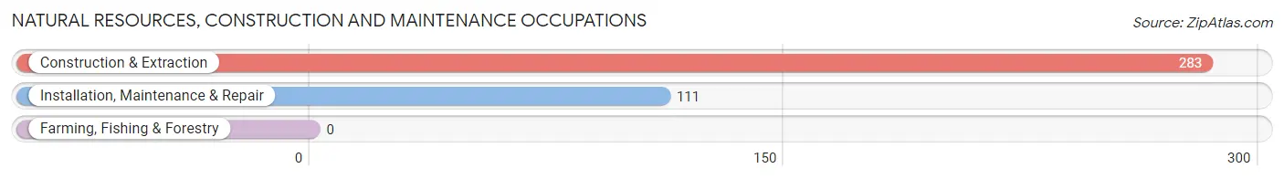 Natural Resources, Construction and Maintenance Occupations in Zip Code 12801