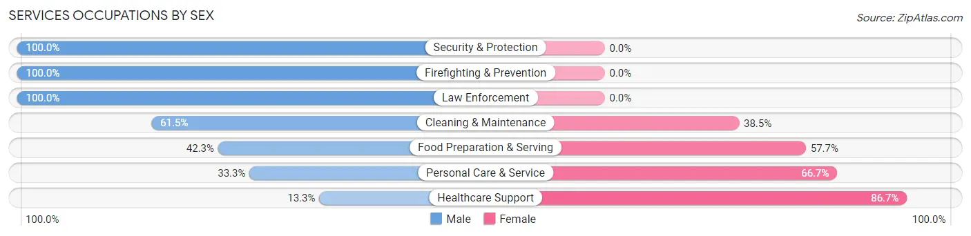 Services Occupations by Sex in Zip Code 12803