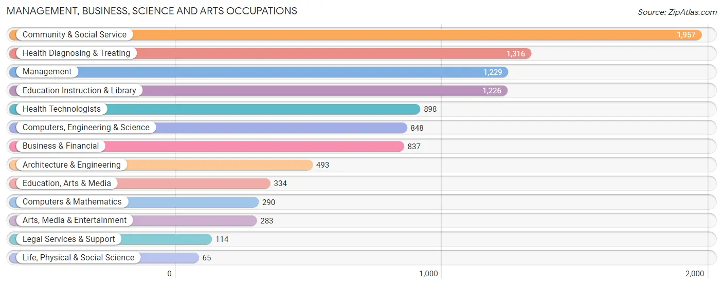 Management, Business, Science and Arts Occupations in Zip Code 12804