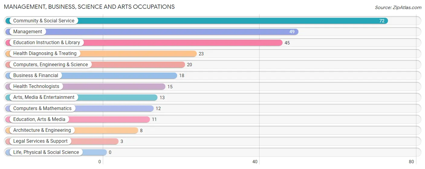 Management, Business, Science and Arts Occupations in Zip Code 12815