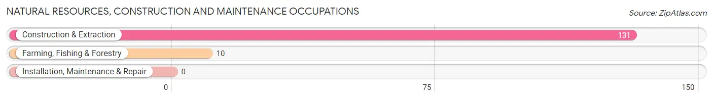 Natural Resources, Construction and Maintenance Occupations in Zip Code 12817