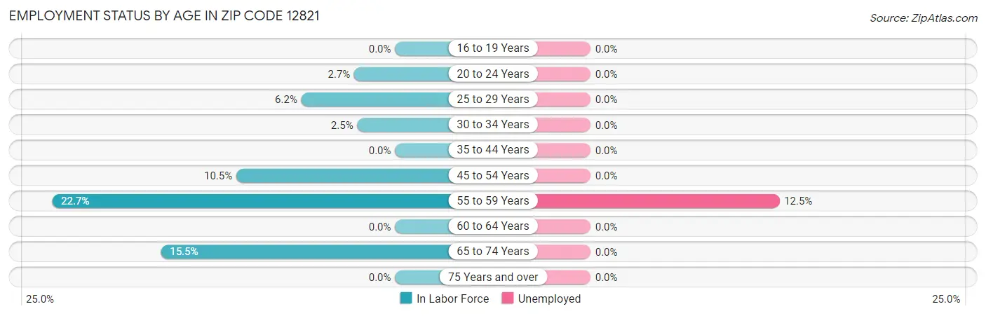 Employment Status by Age in Zip Code 12821