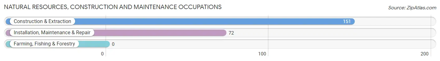 Natural Resources, Construction and Maintenance Occupations in Zip Code 12827