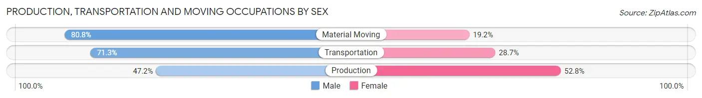 Production, Transportation and Moving Occupations by Sex in Zip Code 12828