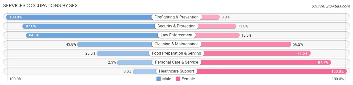 Services Occupations by Sex in Zip Code 12828