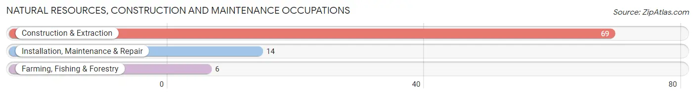 Natural Resources, Construction and Maintenance Occupations in Zip Code 12837