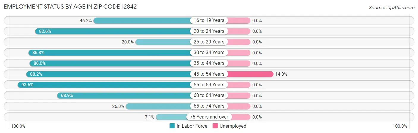 Employment Status by Age in Zip Code 12842