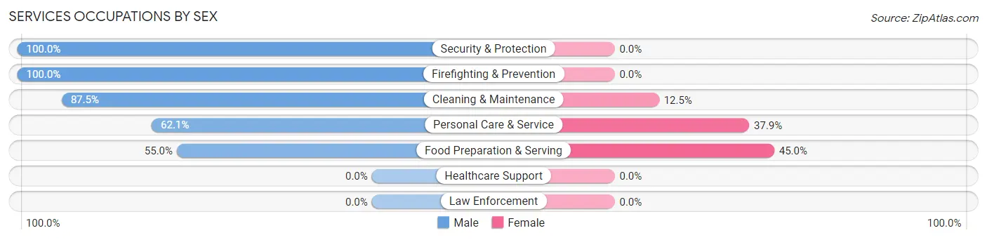 Services Occupations by Sex in Zip Code 12842
