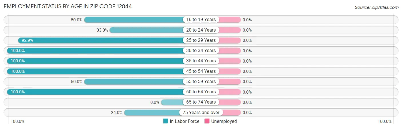 Employment Status by Age in Zip Code 12844