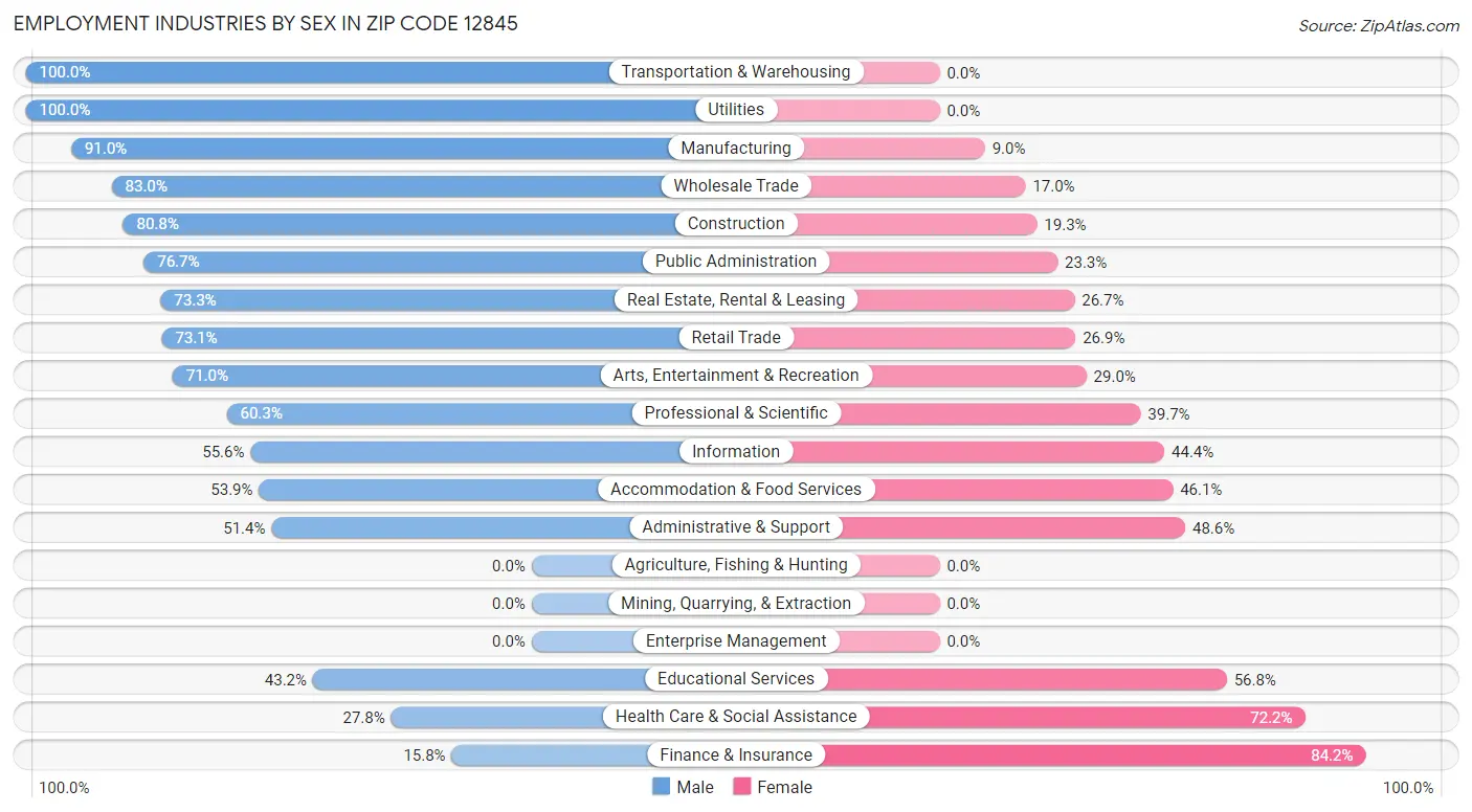 Employment Industries by Sex in Zip Code 12845