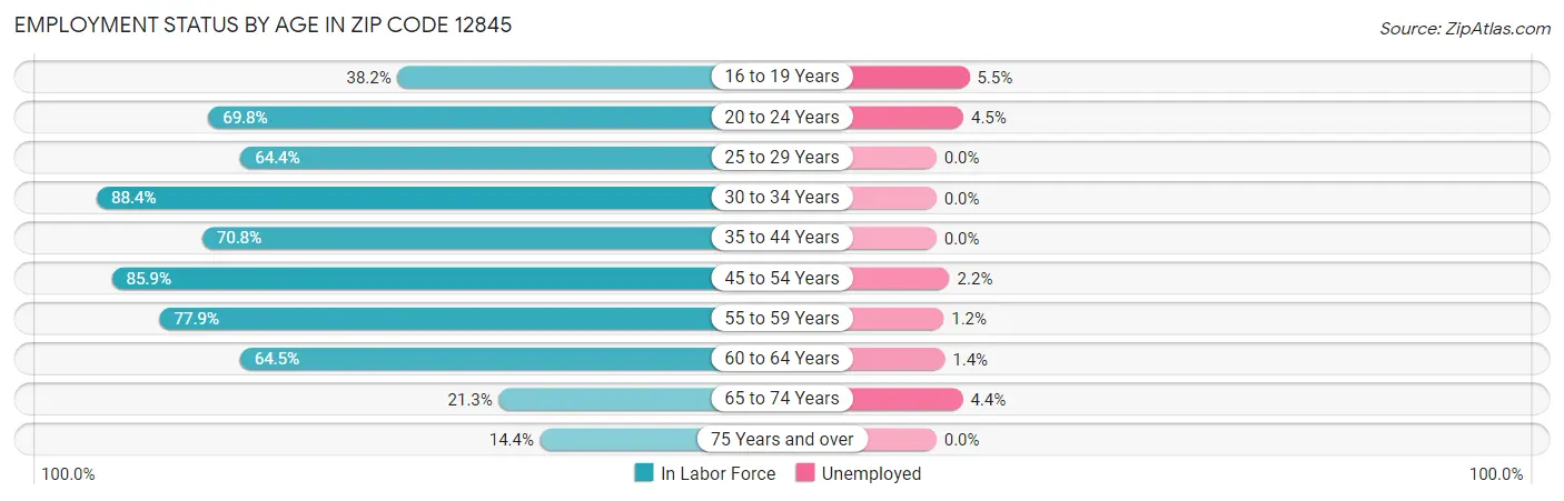 Employment Status by Age in Zip Code 12845