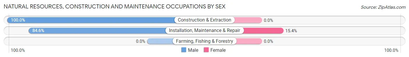Natural Resources, Construction and Maintenance Occupations by Sex in Zip Code 12845