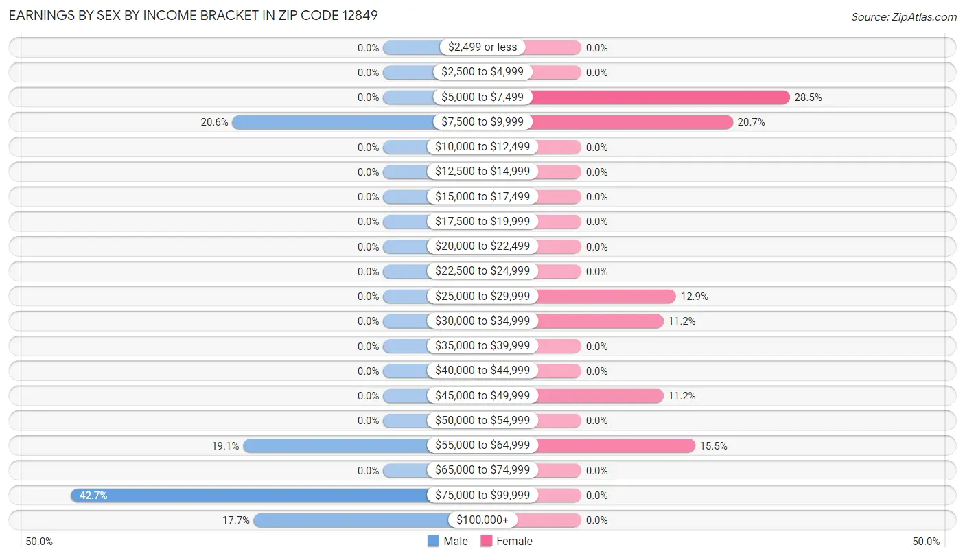 Earnings by Sex by Income Bracket in Zip Code 12849