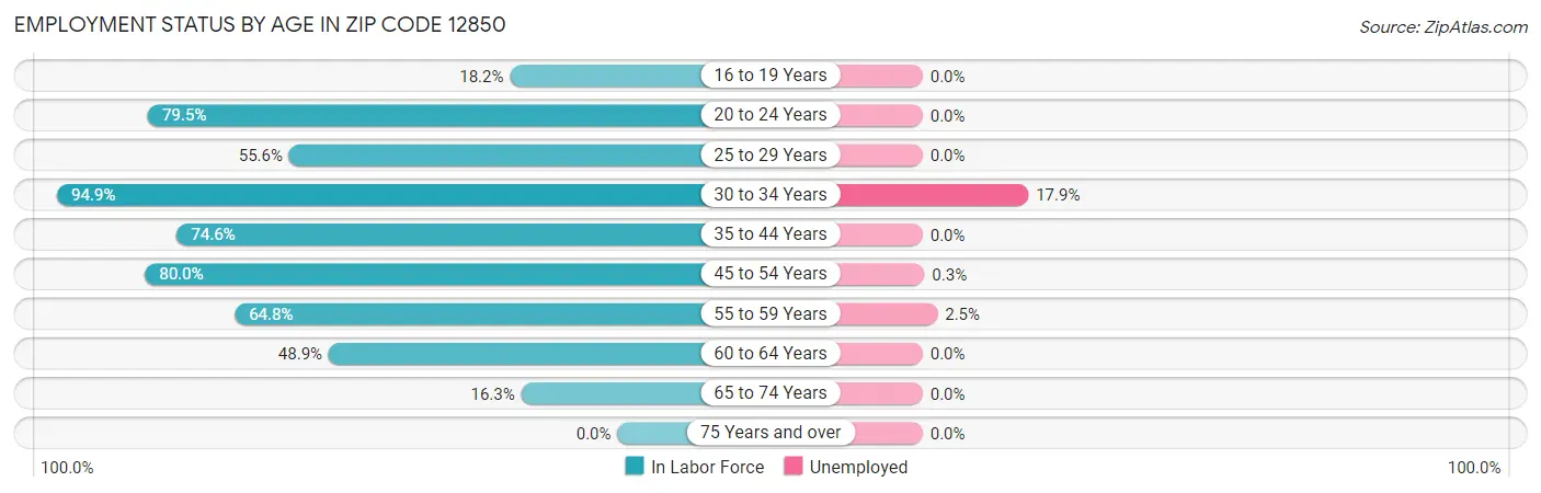 Employment Status by Age in Zip Code 12850