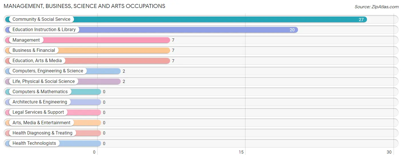 Management, Business, Science and Arts Occupations in Zip Code 12851