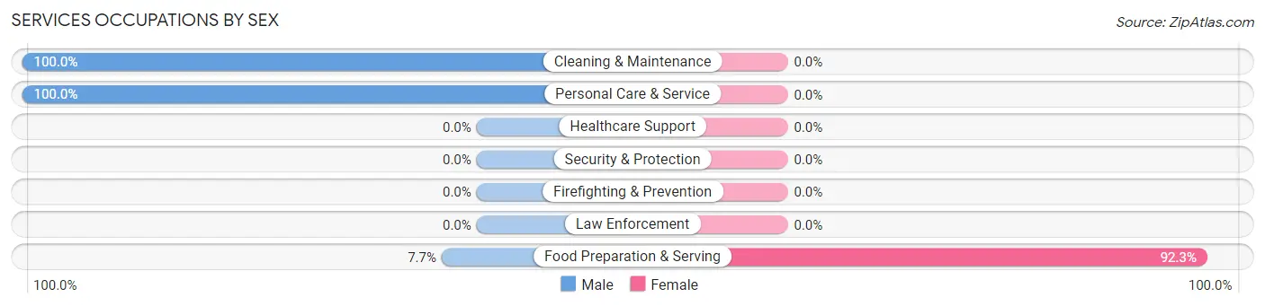 Services Occupations by Sex in Zip Code 12851