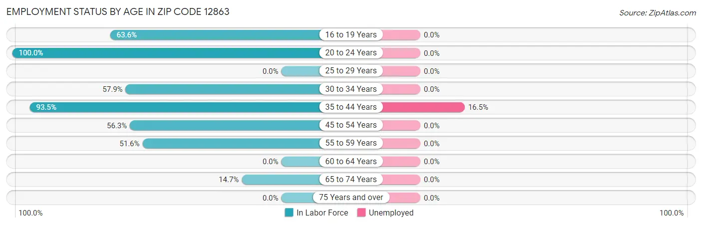 Employment Status by Age in Zip Code 12863