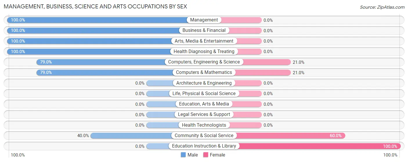 Management, Business, Science and Arts Occupations by Sex in Zip Code 12863