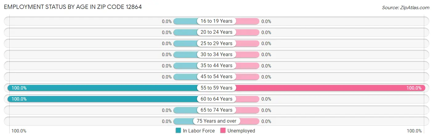 Employment Status by Age in Zip Code 12864