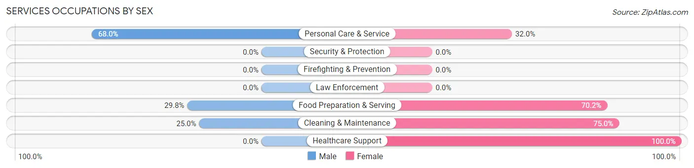 Services Occupations by Sex in Zip Code 12870