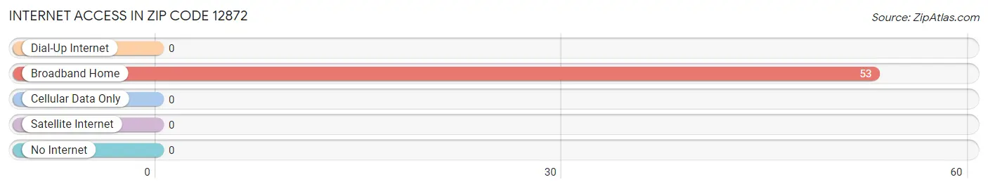 Internet Access in Zip Code 12872