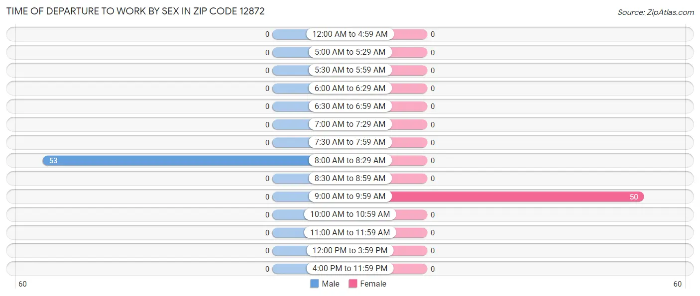 Time of Departure to Work by Sex in Zip Code 12872