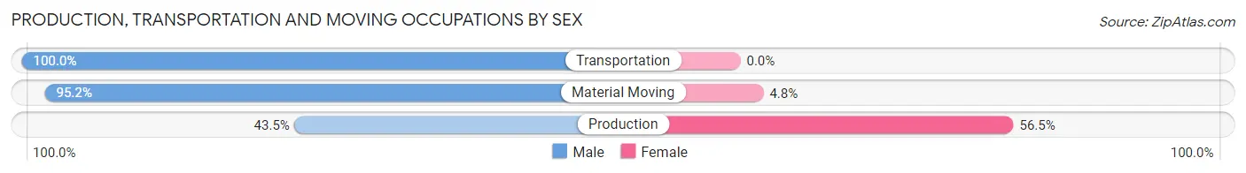 Production, Transportation and Moving Occupations by Sex in Zip Code 12884