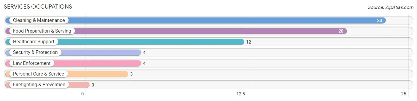 Services Occupations in Zip Code 12884