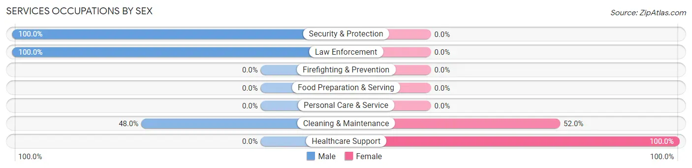 Services Occupations by Sex in Zip Code 12910