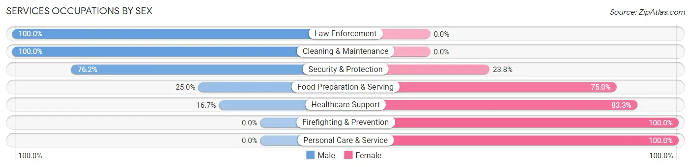 Services Occupations by Sex in Zip Code 12913