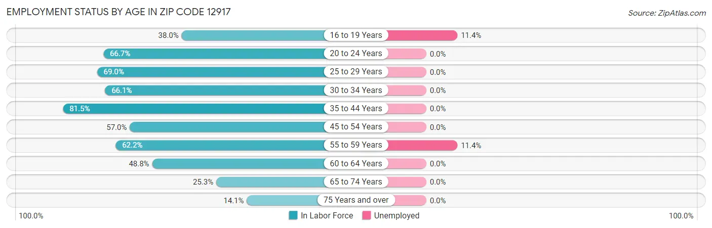 Employment Status by Age in Zip Code 12917