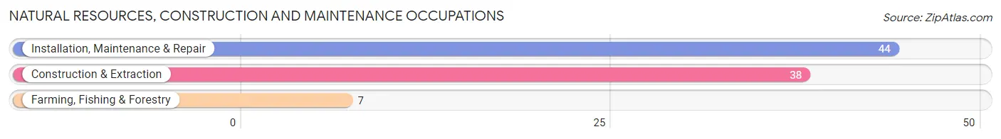 Natural Resources, Construction and Maintenance Occupations in Zip Code 12920