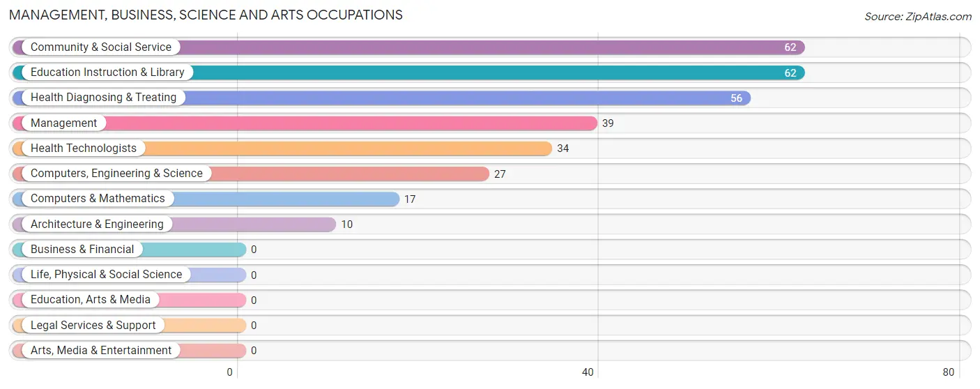 Management, Business, Science and Arts Occupations in Zip Code 12929