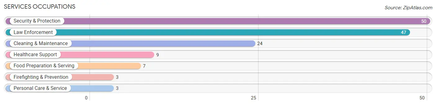 Services Occupations in Zip Code 12935