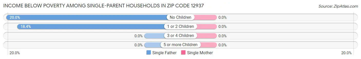 Income Below Poverty Among Single-Parent Households in Zip Code 12937