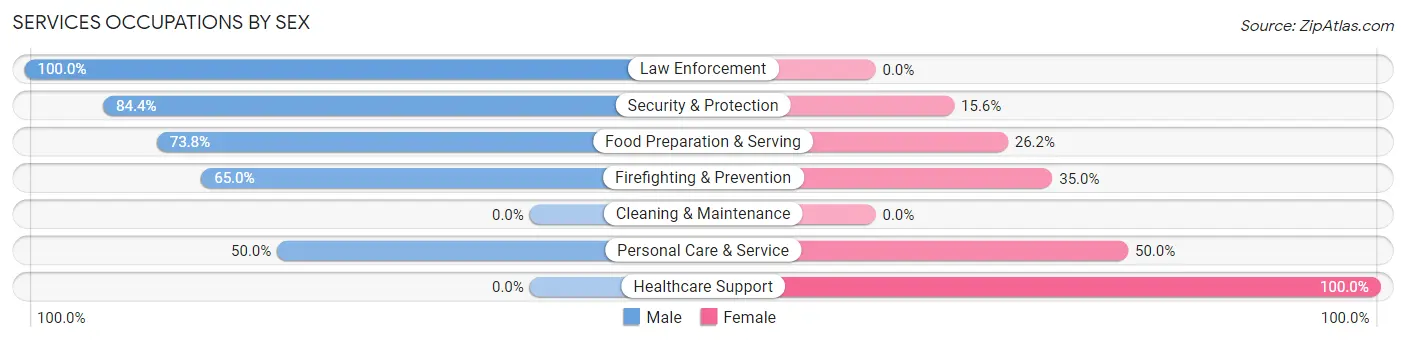 Services Occupations by Sex in Zip Code 12937