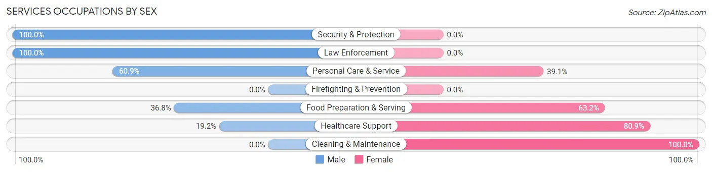 Services Occupations by Sex in Zip Code 12941