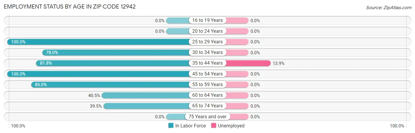 Employment Status by Age in Zip Code 12942