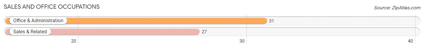 Sales and Office Occupations in Zip Code 12943